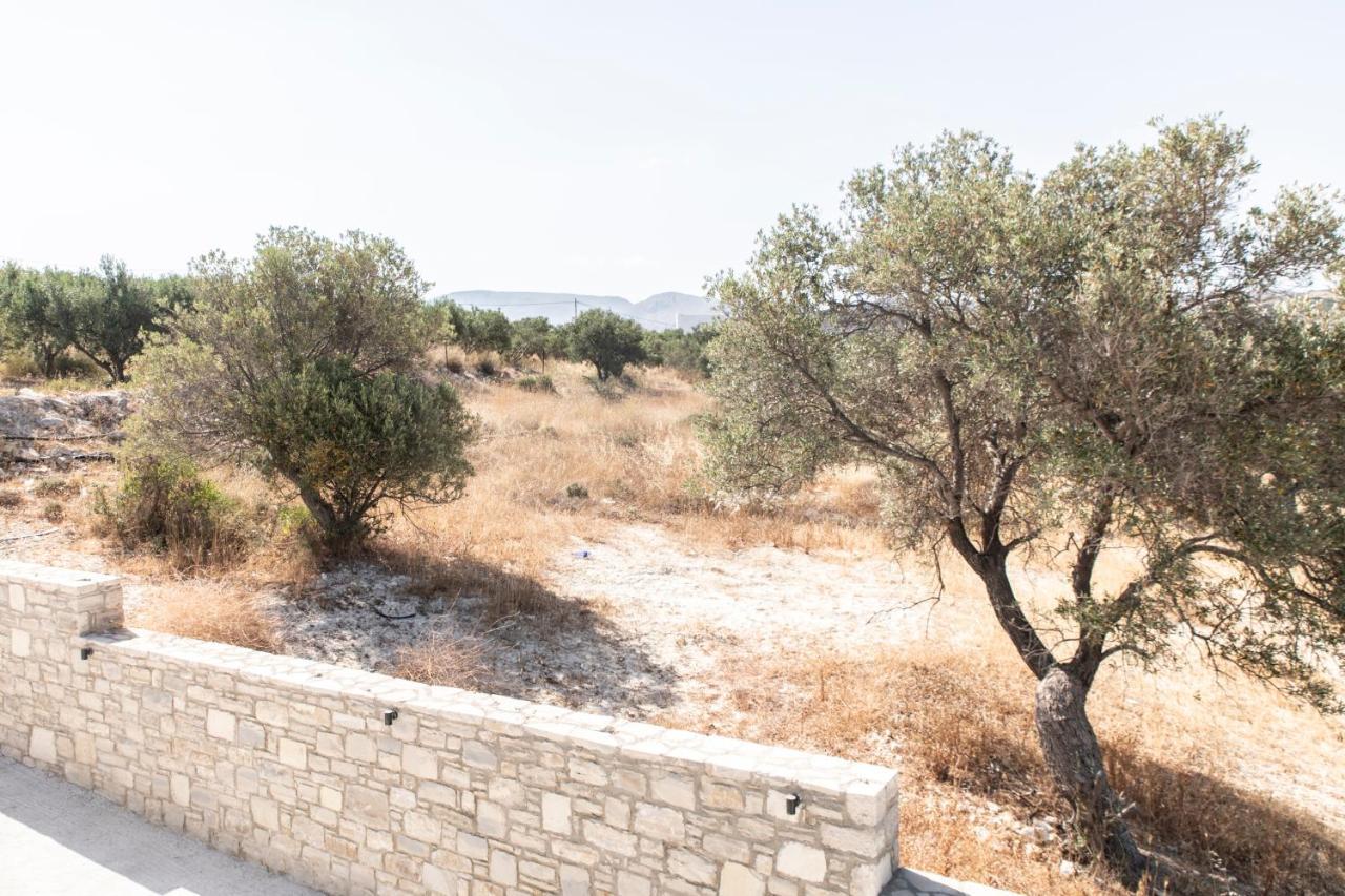 Aeonios Luxury Villa Pitsidia Luaran gambar